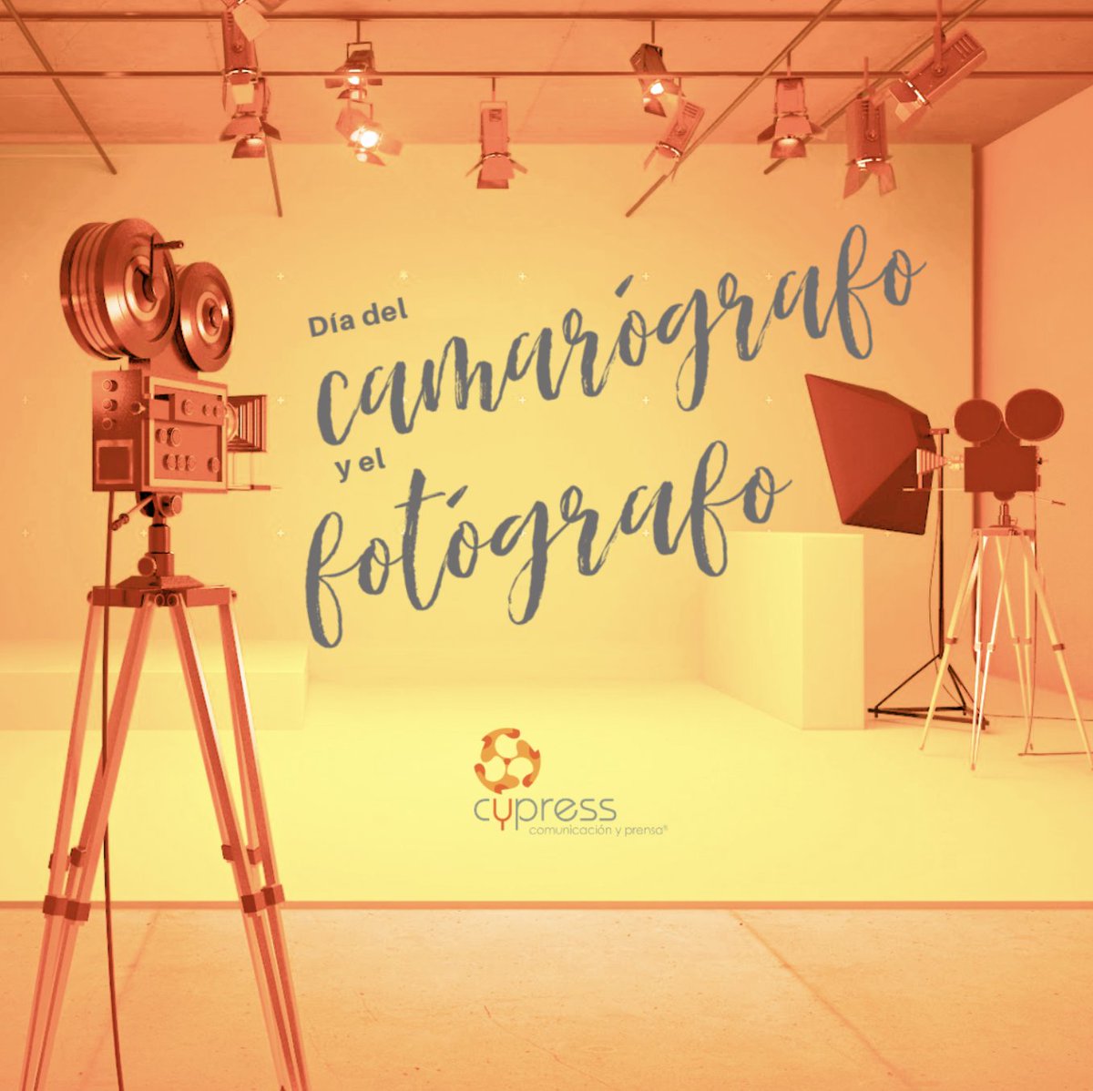 cypress_trendy's tweet photo. “Las fotografías abren puertas al pasado, pero también permiten echar un vistazo al futuro”, Sally Mann. Día del #camarógrafo y el #fotógrafo. https://t.co/wqFhUW83O0