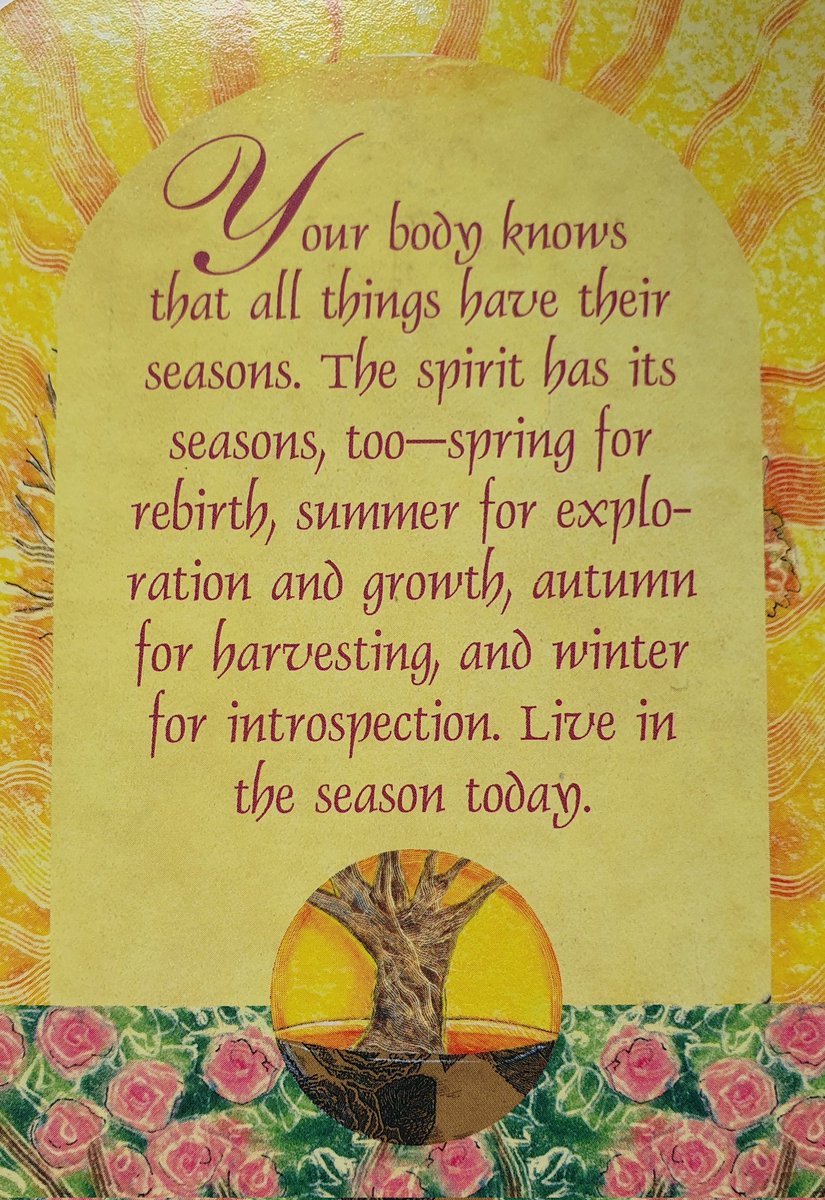hormonealchemy's tweet photo. It's equinox energy. A time for spleen love and a reminder to eat the seasons because Mother Gaia knows what's good for you #fertility #hormonealchemy #mabon https://t.co/fFPOve0mBH