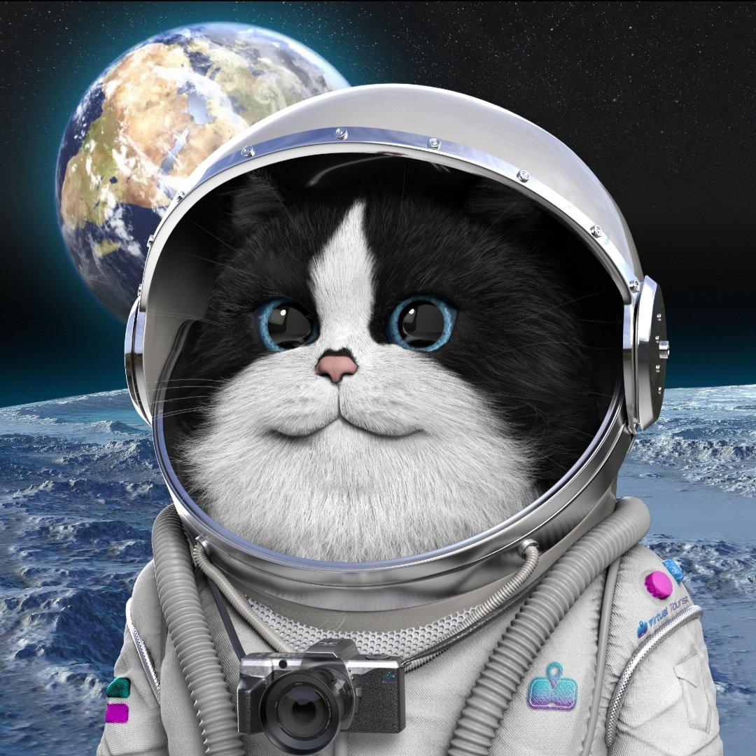 Hey VT Bulls 💜 Meet our first NFT, VT Moon Cat🐈🐱

💥To the moon with VT Moon Cat 💫🚀

#TouristCats #WeAreVTBulls $Vt #VirtualTourist #VTBulls #Metaverse #Vttoken 🚀
