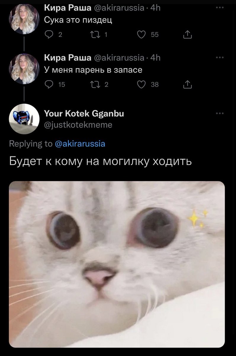 Your Kotek Gganbu tweet media