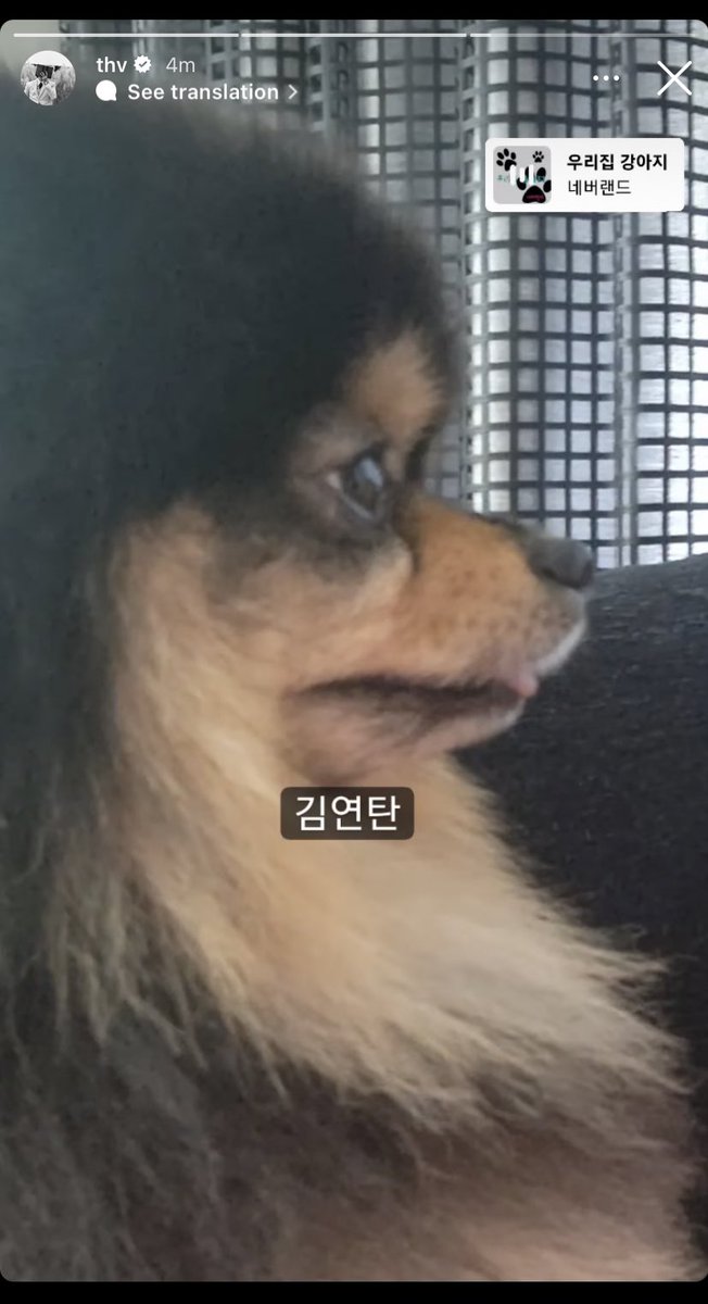thvtani's tweet photo. “Kim Yeon-Tan” 😞😞😞 https://t.co/fmtVvwYLfr