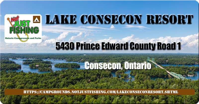 njf_outdoors's tweet photo. Lake Consecon Resort is a scenic family resort in Prince Edward County.
#lakeconseconresort #consecon #1000islands #parks #camp #camping #hiking #campfire #resorts #adventure #camplife #vacation #nature #rv #cottagelife #outdoors #discoverontario
https://t.co/xyoxHwDBfF https://t.co/2ErpOuHOGz