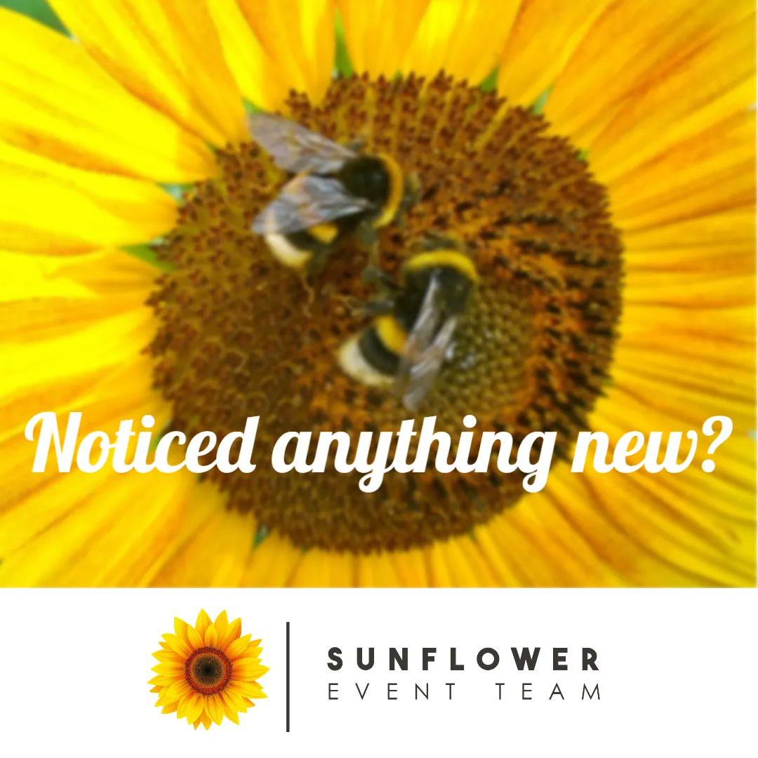 Over the summer, reflecting on the past amazing 10 years of Sunflower Corporation's #events, we came to a decision on our company name.
Most of our clients already call us the #SunflowerEventTeam - it's on our social media too, so we have tweaked our name to match! #newlogo 🌻