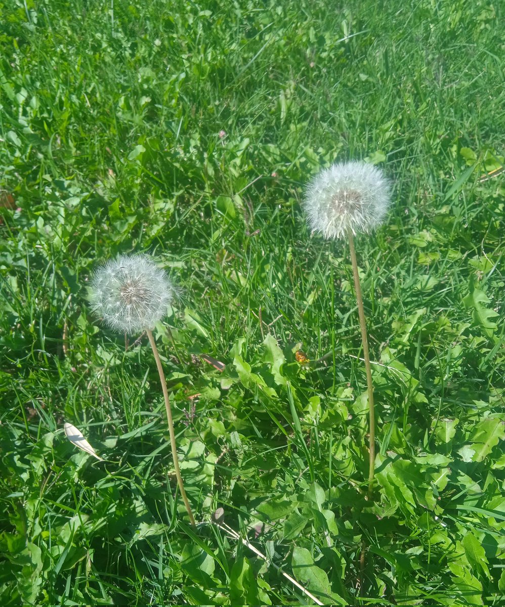 ishally's tweet photo. Ti a miña mellor sorte. O meu cómplice, o meu confidente, que me enche de vida e de amor e o tolo que dá cordura a cada minuto. Non hai mellor amencer que o que vexo reflectido nos teus ollos. Lembra que a eternidade ten o teu nome escrito nela.
#Ventiuno #EternoAmor #NudoPerenne https://t.co/IzpHBQ8sBX