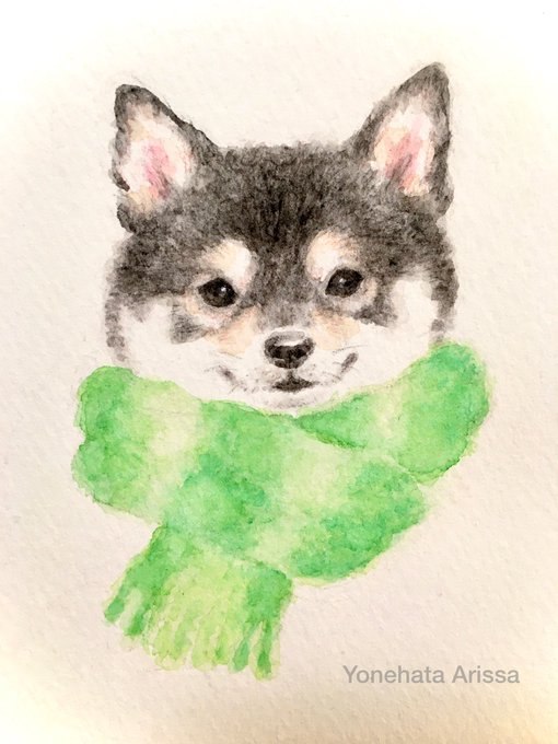 黒柴のtwitterイラスト検索結果