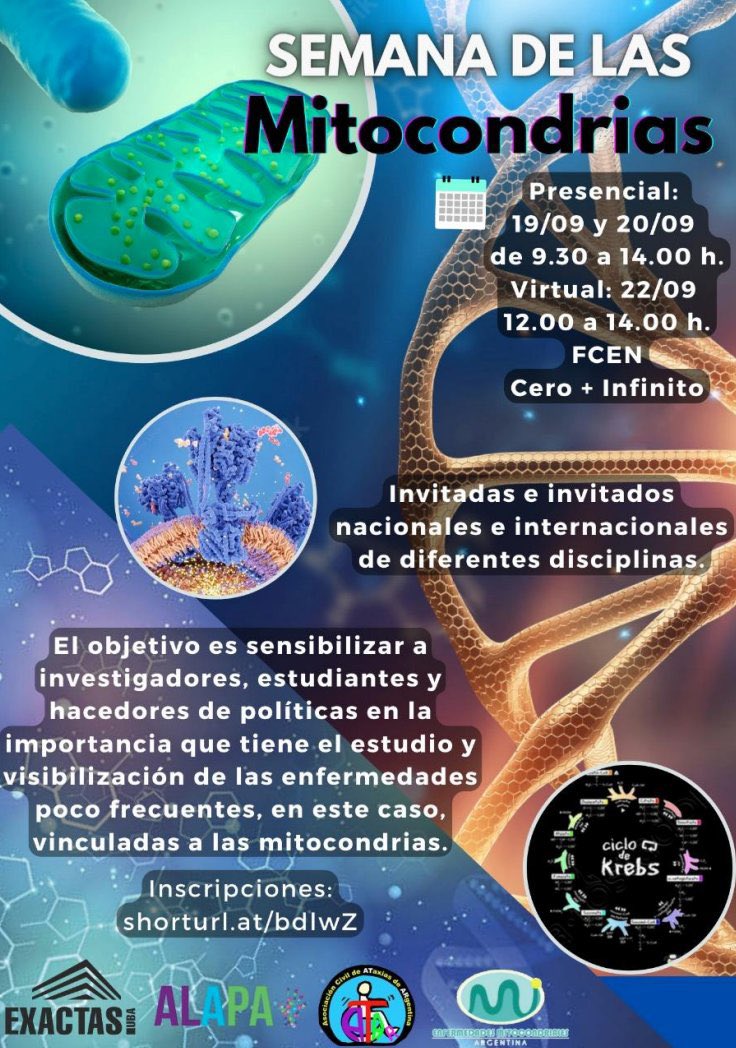Braincure_CABD's tweet photo. Mañana día 22 a las 17:00h (hora española) nuestro IP @JosA65908052 explicará en qué consiste el proyecto #Mitocure y la medicina personalizada en las #EnfermedadesMitocondriales que llevamos a cabo en nuestro laboratorio en la Semana de las mitocondrias https://t.co/wWypH7ERbN