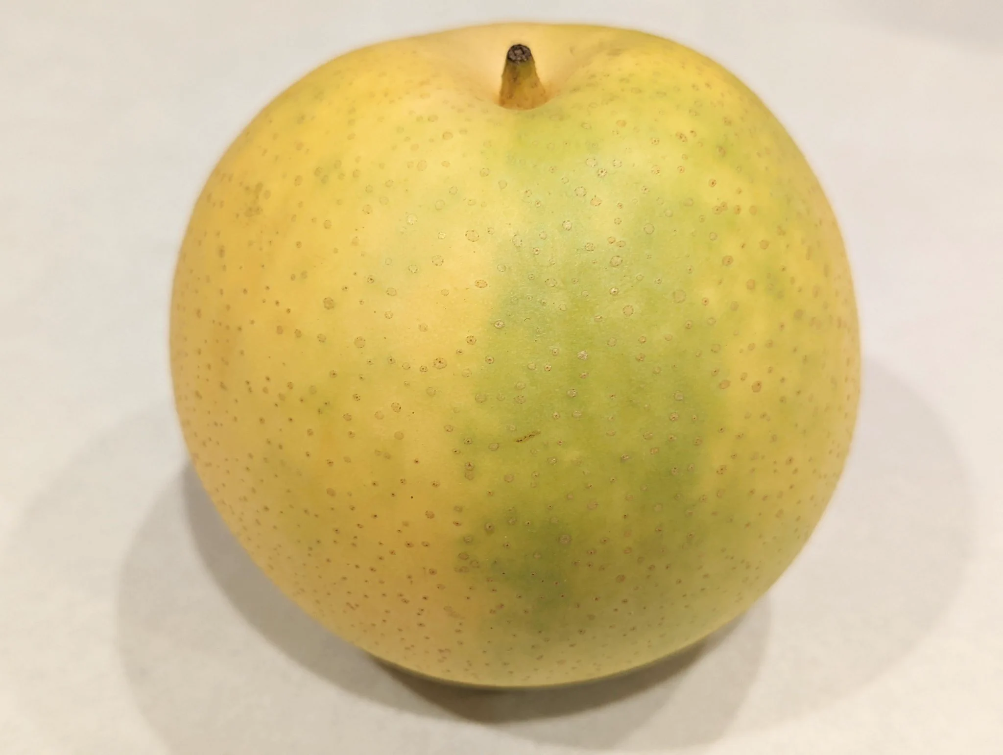 あまーい梨を食べたい方！表面がすべすべ、黄色のものを買え‼