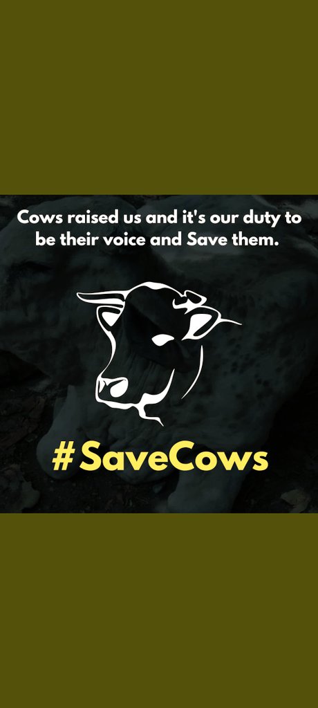 DEEP_B_DESAI's tweet photo. No coverage of media about cows dying due to lumpy virus not a single politician of country is worried about this. 75,000+ cows are died till now. Is the administration sleeping or can't see this situation.#SaveCows #GauMataBachao  @narendramodi @PMOIndia @AmitShah @peta https://t.co/D7mB4oqK8D