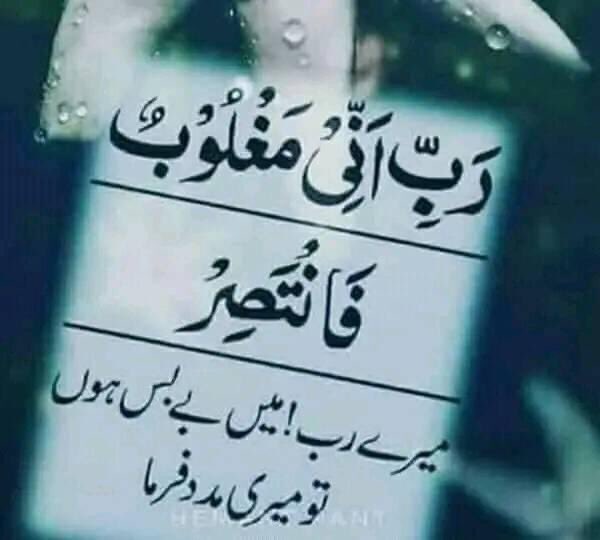 AmanatTrust's tweet photo. #AmanatTrust https://t.co/xwBPM8L0lj