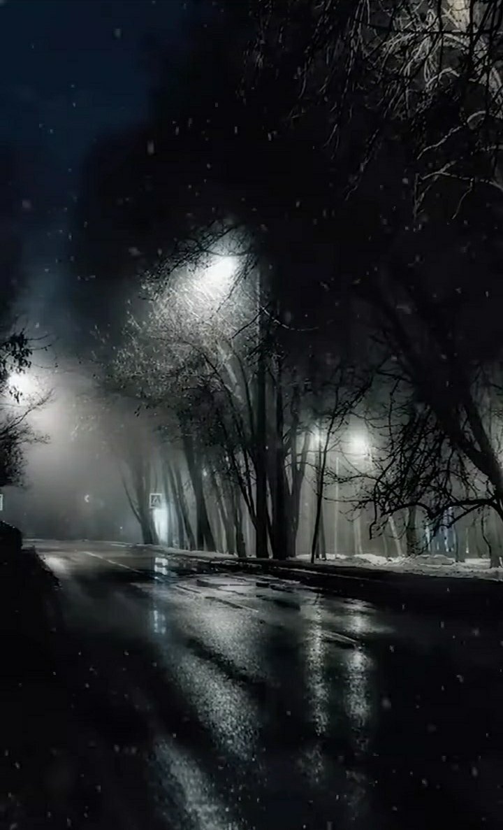 PHOTOGRAPHERS📸 

Show me your best shots on anything  🖼️ 📸

I’m retweeting ! The best ones ...