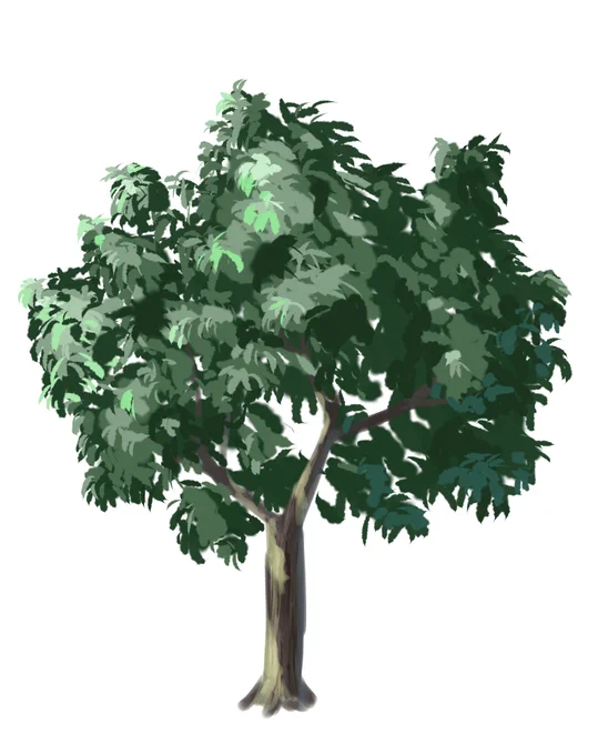 木の練習絵 