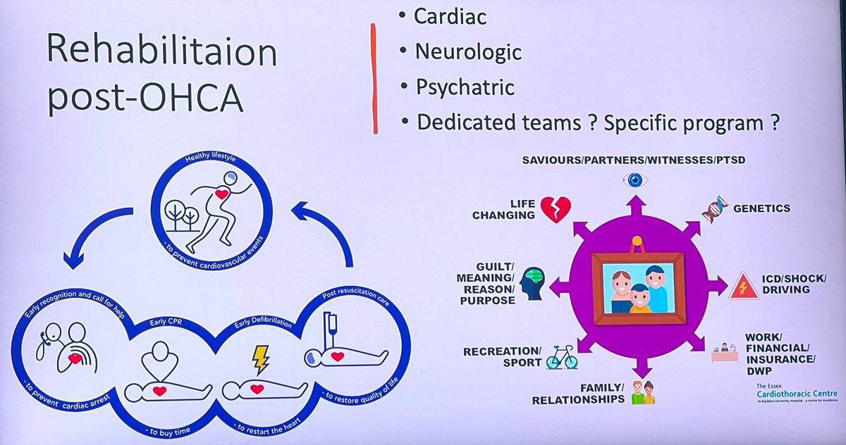 M Velia Antonini on Twitter: