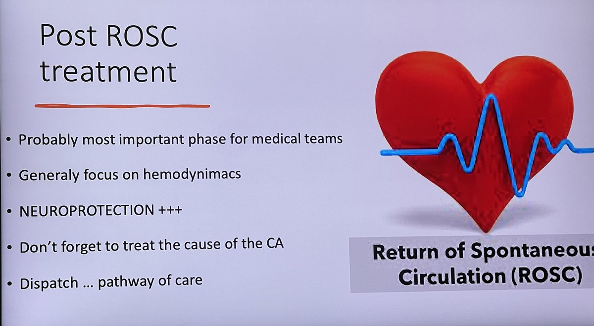 M Velia Antonini on Twitter: