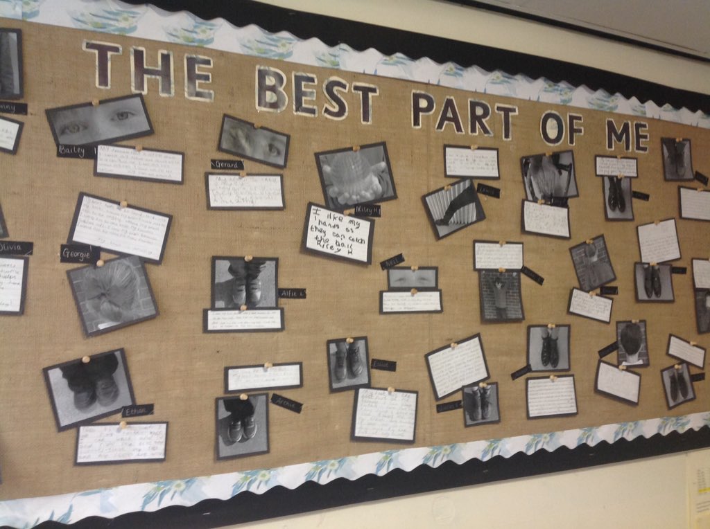 Knotty Ash Primary tweet media
