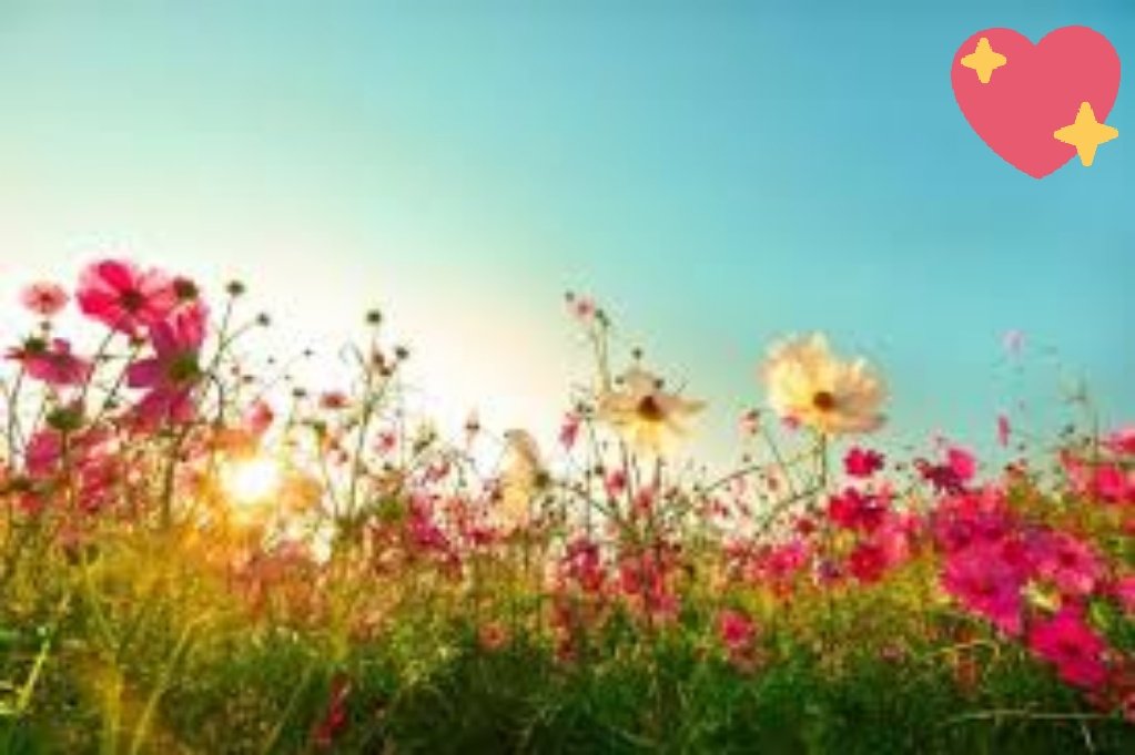 EduDigital4's tweet photo. #primavera https://t.co/pMuqebVk38