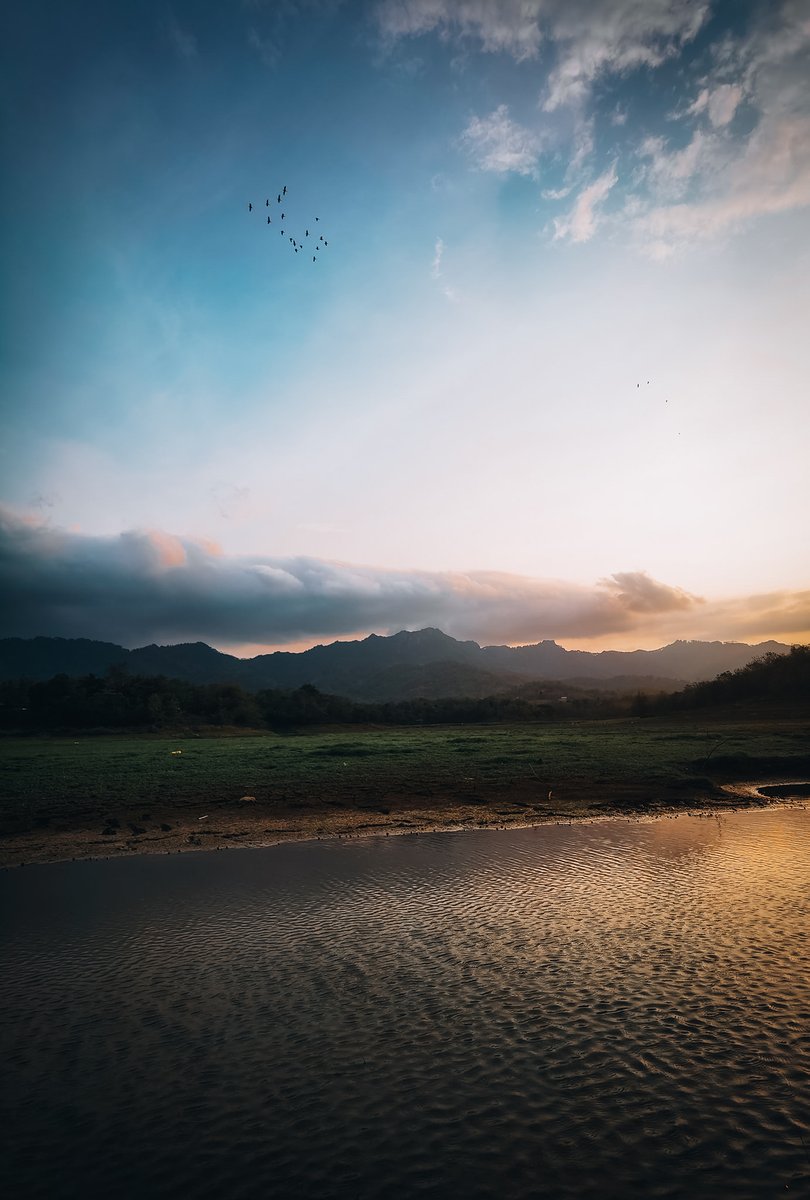 Travel Tomorrow tweet media