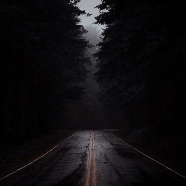 Deanimp's tweet image. Привет, солнце

Я Дин Винчестер. Охотник на нечисть, живущий в бункере вместе с братом и одной ангельской задницей. Очешуеть, да? И я о том же

Думаю, будет неплохо познакомиться по ближе, а ты что думаешь? В любом случае, знай что я всегда рядом или на связи, идёт?