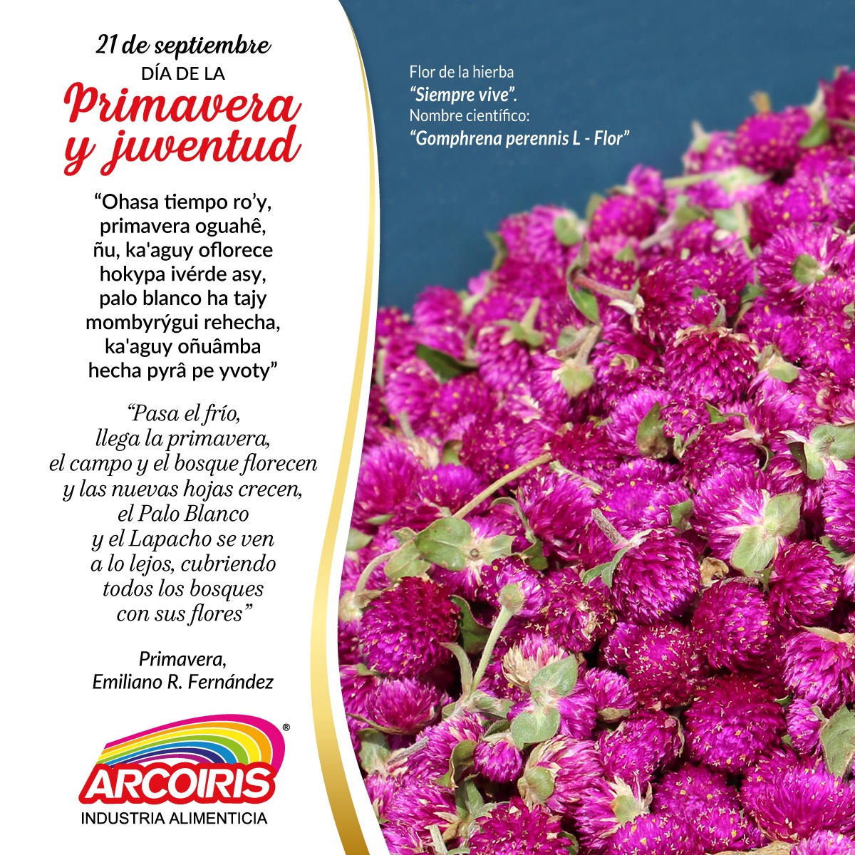 Arcoiris_Py's tweet image. ¡Feliz día de la primavera y Juventud! 🌷💐🐝🌸🌿
Damos la bienvenida a la estación más colorida del año y saludamos a la hermosa juventud de nuestro querido Paraguay en su día 🙌🏻
#ArcoirisPy 🌈 #ConSaborYConfianza #Primavera #DíaDeLaJuventud #Paraguay 🇵🇾