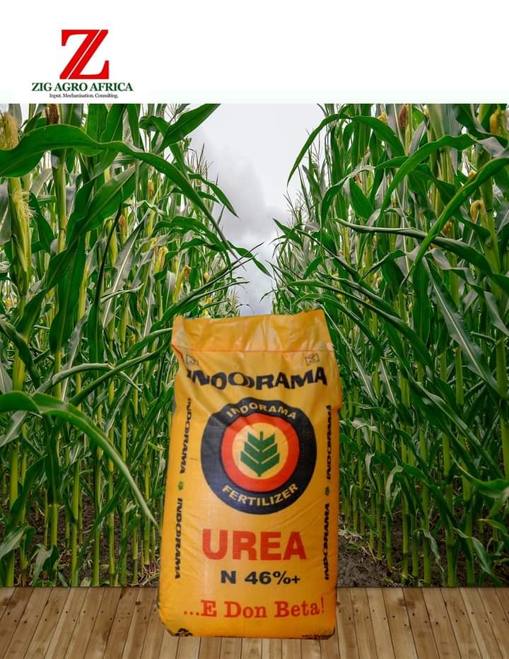 zigagroafrica's tweet photo. The needed result is applying the right inputs in the right proportions. Zig agro, your agro inputs plug .

#zigagroafrica #fertilizer #agroinput #agriculture #mechanization #farming #seeds #aggregation. https://t.co/pwP3ETboTb