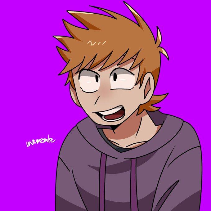 mamesuke:低温 on X: Come back Tord again ! #eddsworld #EW #edd #tom #matt # tord  / X