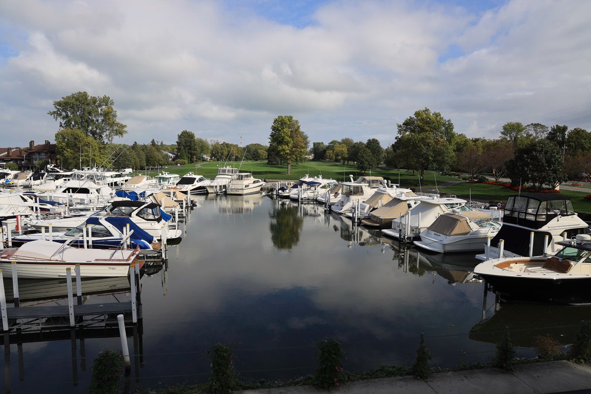 Wee One Foundation tweet media