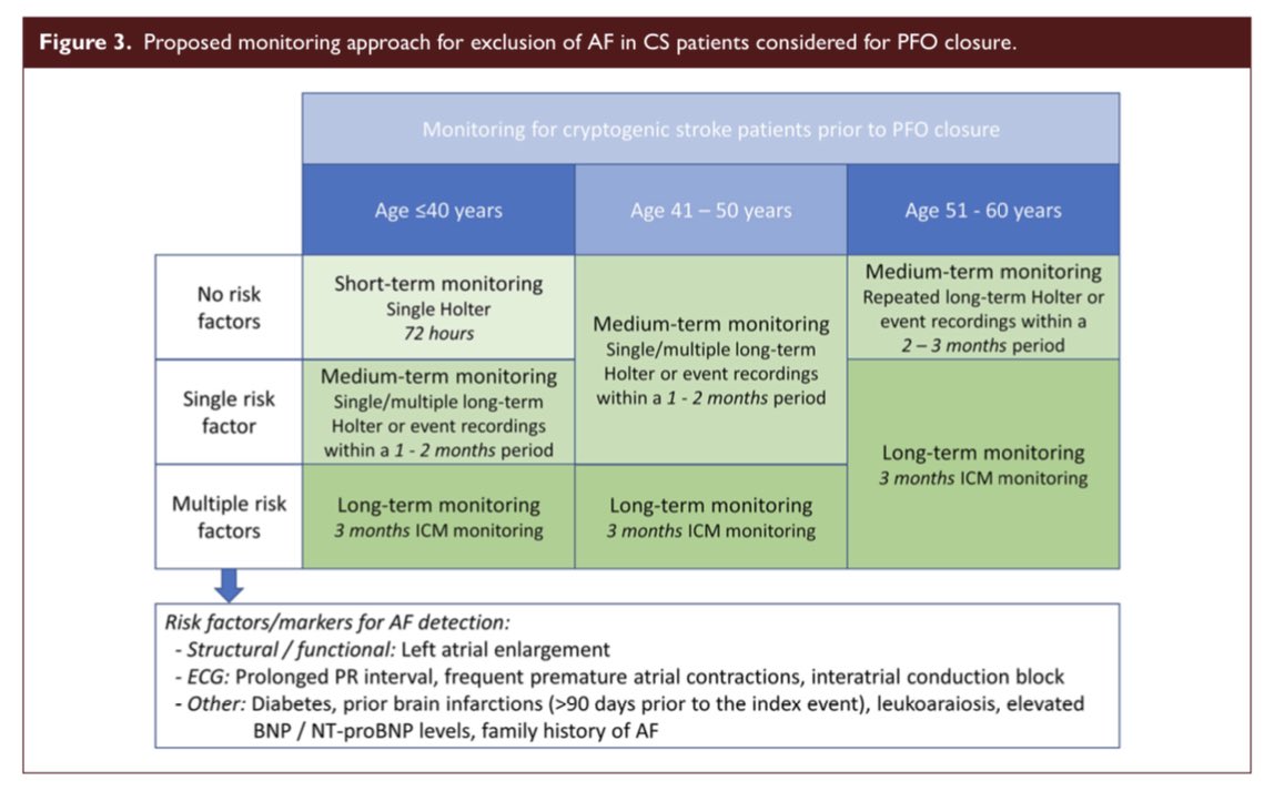 interneurona's tweet photo. Propuesta de monitoreo de la #fibrilación auricular en pacientes con #ACV criptogénico en quienes se considera un cierre de #FOP

#individualizado #ACxFA 

Vía @IntJStroke 
#openaccess 
⬇️
https://t.co/02d3ZNOSoj https://t.co/x8tIfGartX