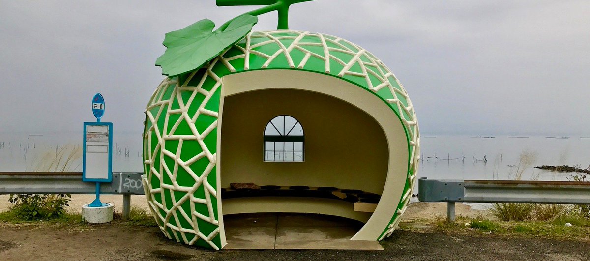 Tigers are Better Looking tweet media