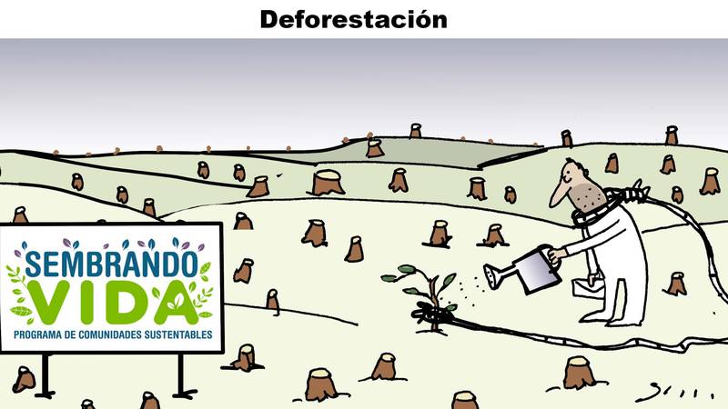 myriligmez21's tweet photo. DEFORESTACIÓN 
Por Garci Nieto https://t.co/5tMuVt0kkG