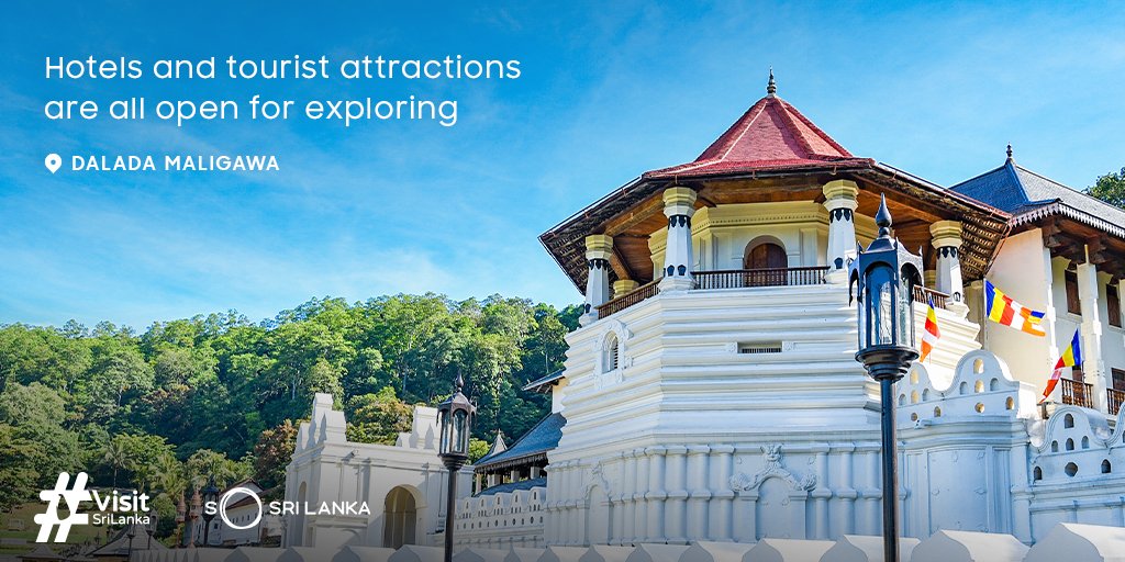 Planning on visiting Sri Lanka this year? Here's why you should definitely go for it!
.
.
.
#SoSriLanka #ExploreSriLanka #VisitSriLanka #SriLankaTourism #SriLankaTravel #SriLanka #PositiveSriLanka #SeeSriLanka #TimeToGetPositive
