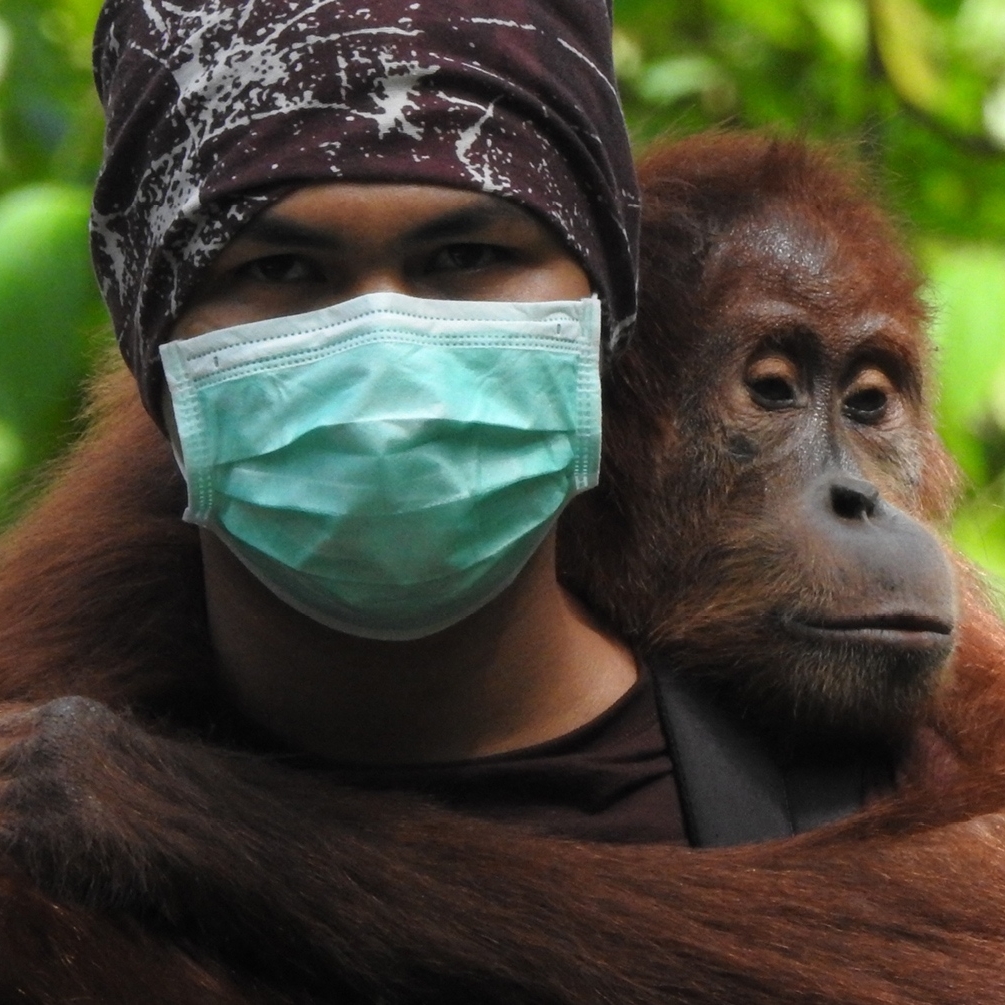 🍃 Have you applied to Future Conservationists? 

🌴 Open to 16 – 18-year-olds, Mon 26 Sept is the deadline. 

🐾 The course gives you skills to take conservation action, meet experts &amp; join our mission to create a wilder world. 

Apply now! 👇 

durrell.org/conservation/l…