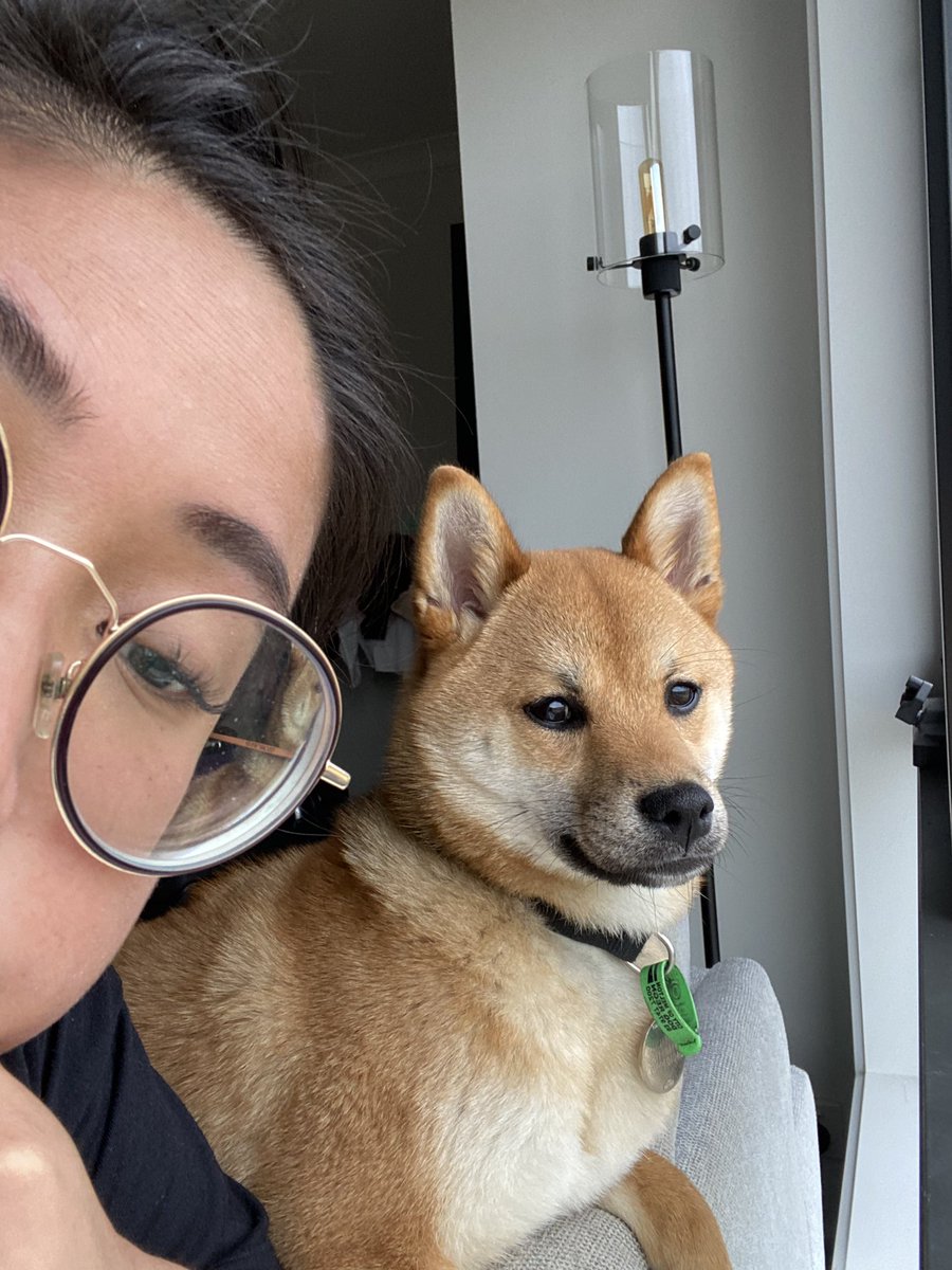 k__trina's tweet photo. Being 29 has been great so far. I spent most of today annoying this little princess. https://t.co/r1Pqm7Wg6G