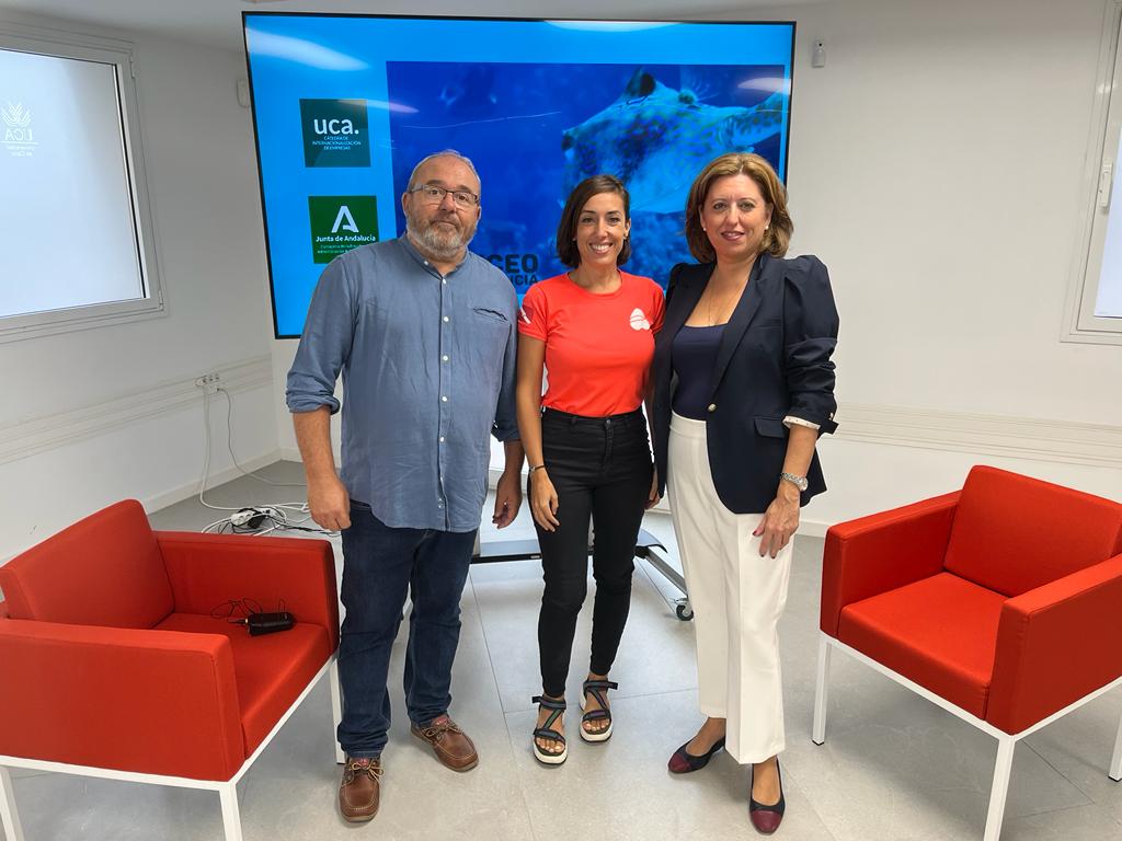 Cátedra de internacionalización de empresas tweet media