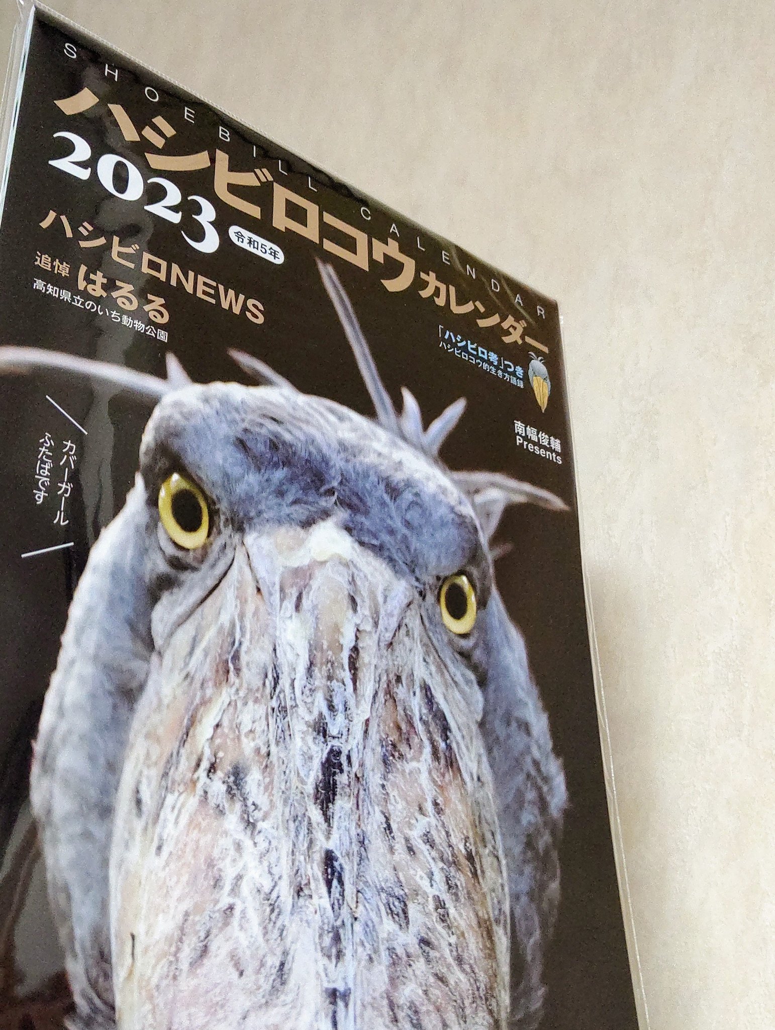 国際ブランド】 はしびろ様専用 【はしびろ様専用】 - htii.edu.kz