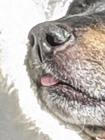 Mikal Joplin 💙 tweet media