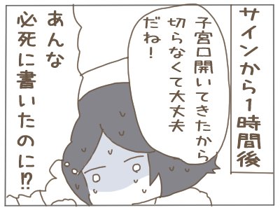 出産がトラウマになってしまった女の話⑨

#漫画が読めるハッシュタグ 