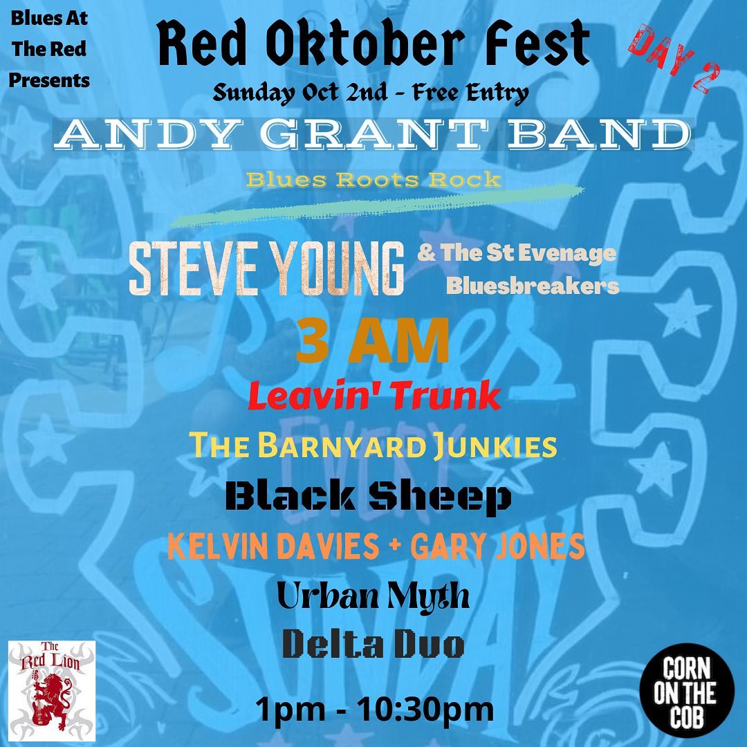 3amRockingBlues's tweet photo. @HertsTweets Two-day FREE blues/rock music fest in the heart of Stevenage Old Town 1st and 2nd October from doors open 11am. https://t.co/WXYZSPNBEV