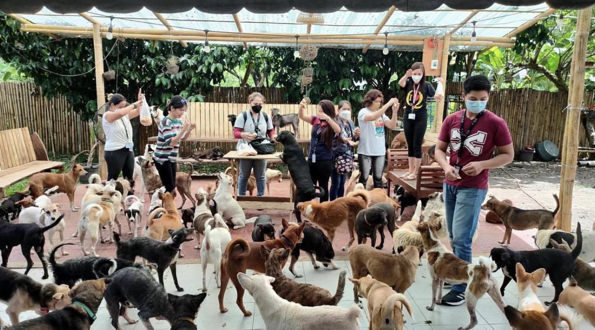 EloyNft's tweet photo. WE CARE🧘

Priceless... Thankyou @Yogapetz for spreading love for animals in web3... 

Me (Eloy) and my family rescuing and trying to help some pets here in our province

*posting it to spread positive vibes 
@Kakarot_F23 @yhopak1 @AmberMetaNFT @titikmulainft 
#YGPZ #petzdayoff https://t.co/FhaeNTYAfo