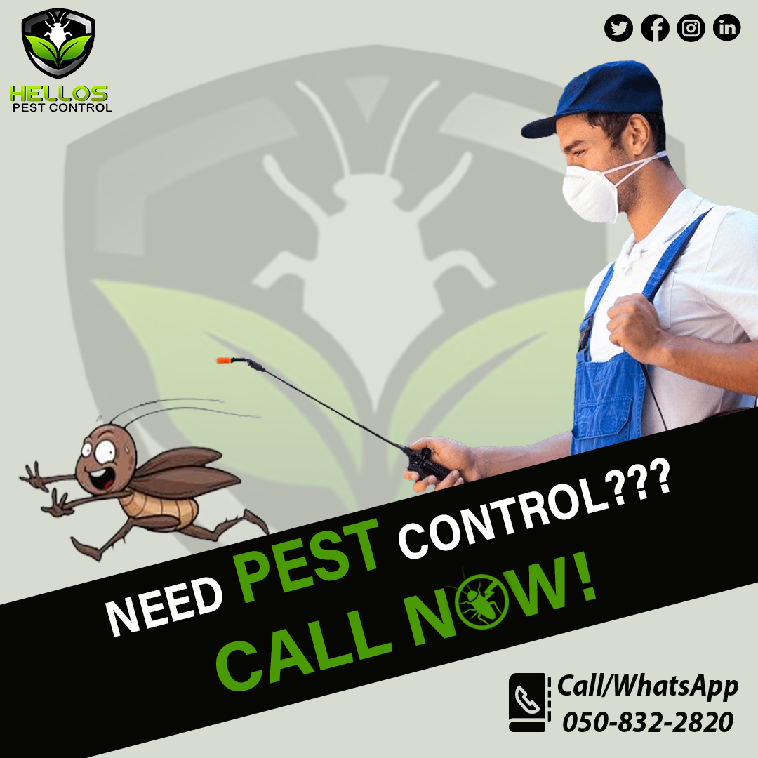 Pest control treatment for a residential building. 

Contact or WhatsApp us directly on 050-832-2820 for your Pest control enquiries!

#pestcontrol #deepcleaning #disinfection #rodents #rodentcontrol #termites #mice #rat #cockroach #bedbugs #insect #dubai #control #services