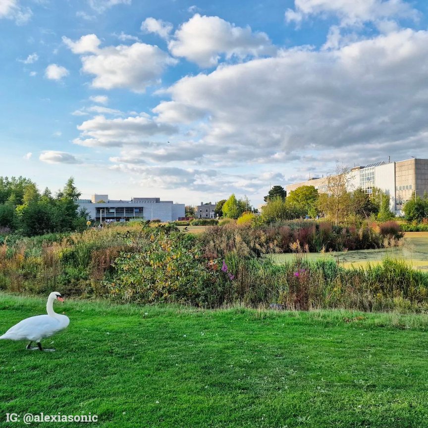 ucddublin's tweet photo. 🦢💚🌿🏝🌾💚 𝓔𝓿𝓮𝓻𝓰𝓻𝓮𝓮𝓷 💚🌾🏝💚🌿🦢 https://t.co/663TmEg2WU