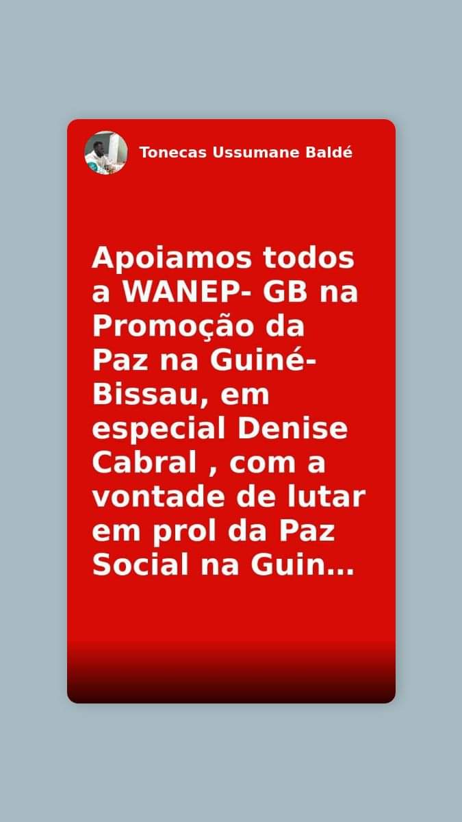 WANEP - Guiné Bissau tweet media