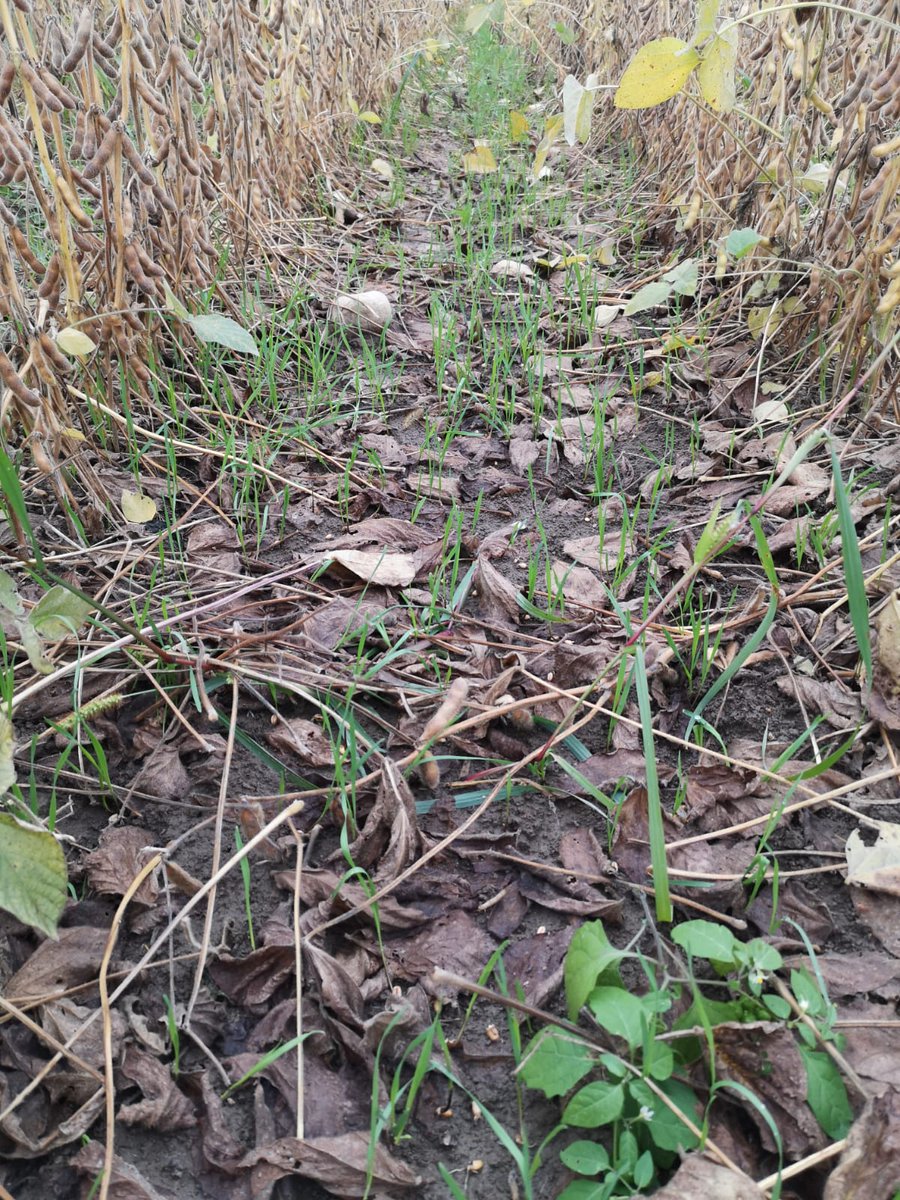 GDA de Chatillon-Coligny tweet media