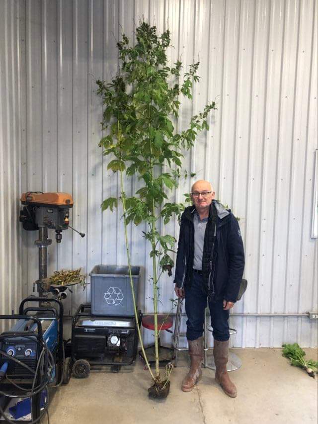 GDA de Chatillon-Coligny tweet media