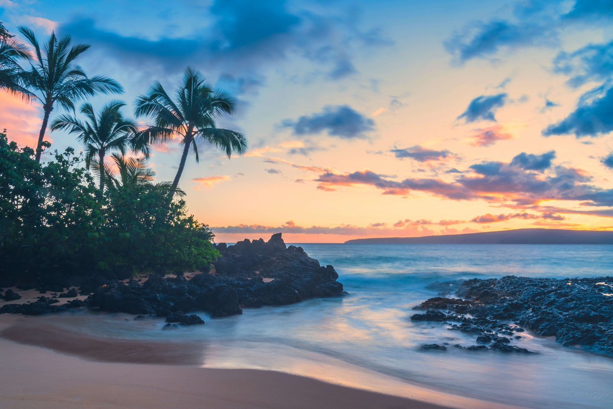 Tick off one destination from your travel wishlist - a dreamy destination Hawaii 🏝️ September is the most affordable time to visit it ​​🤩 Plan your trip to Hawaii using an AI travel assistant on Messenger here ⬇️ m.me/eddytravels/?r… #EddyAI #AI #AIassistant #chatbot #bot