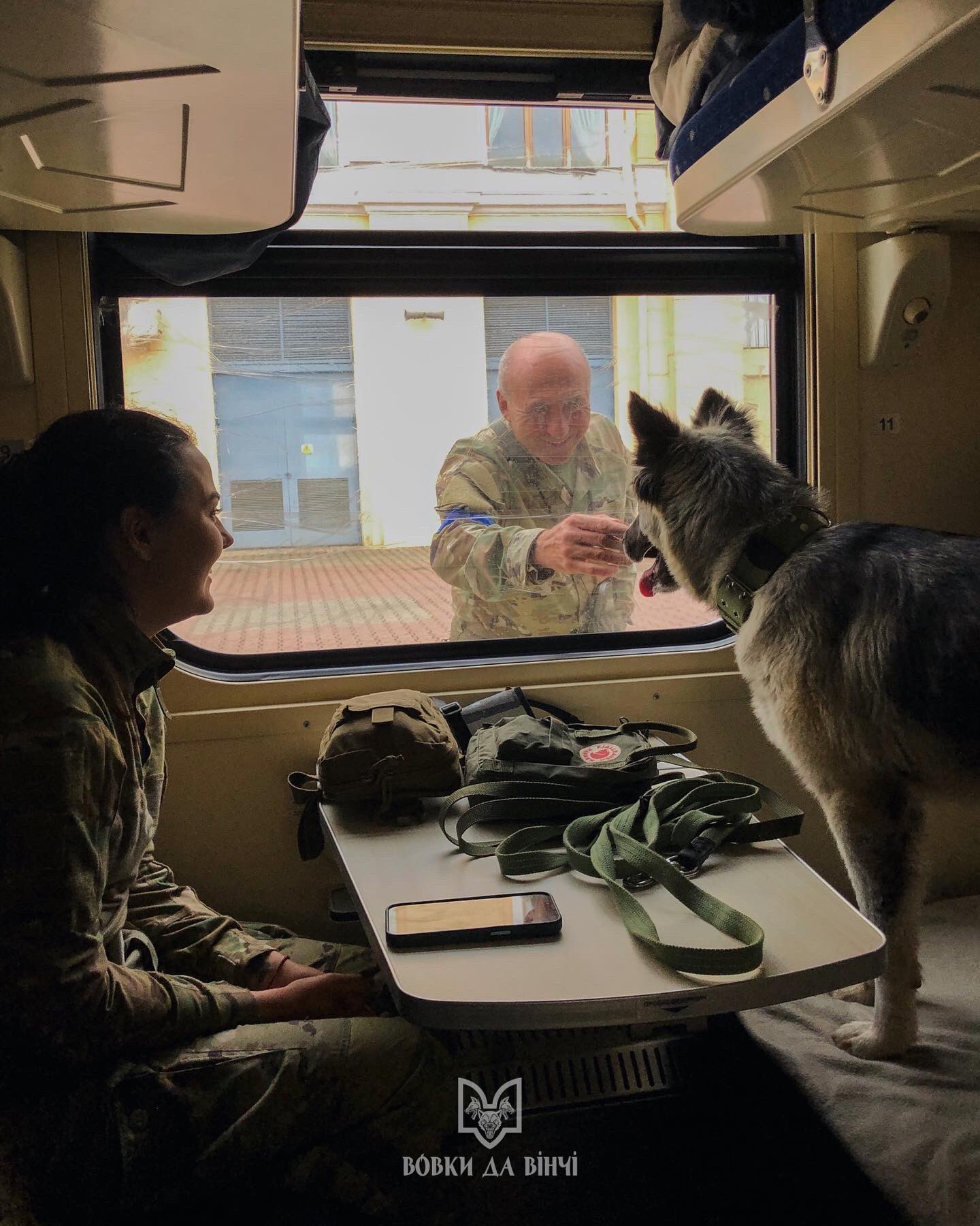 Вовки Да Вінчі on Twitter: "Це Герда — собака яка прийшла до одного з ...