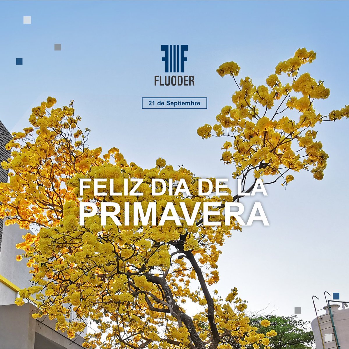 Fluoder1's tweet photo. Damos la bienvenida a la estación más hermosa, la Primavera!!!!
¡Feliz día para todos en este inicio de primavera!

#DíadelaPrimavera
#DíadelaJuventud
#Fluoder
#Paraguay https://t.co/jIMqOQJYv8