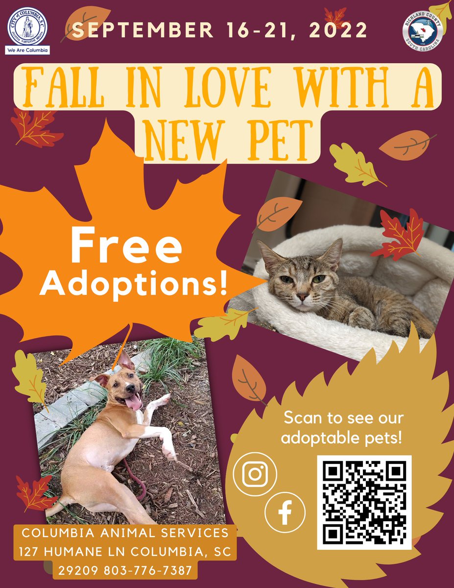 All pet adoptions are FREE from September 16 - 21, 2022‼️ ▪️ For additional info visit Columbia Animal Services at 127 Humane Lane or call 803-776-PETS (7387) ▪️ #WeAreColumbia #columbiasc #southcarolina