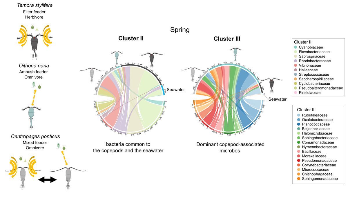Tamar Guy-Haim (@tamarguyhaim) on Twitter photo Great work of PhD student Ximena Velasquez on how feeding strategy and dietary preferences can determine #copepod #microbiome has just been published today in <a href="/enviroDNA/">Environmental DNA</a> w <a href="/ArseniyMorov/">Arseniy R. Morov</a> Dalit Meron, <a href="/MaximRubinBlum/">Maxim Rubin-Blum</a>:
onlinelibrary.wiley.com/doi/10.1002/edโฆ Great work of PhD student Ximena Velasquez on how feeding strategy and dietary preferences can determine #copepod #microbiome has just been published today in <a href="/enviroDNA/">Environmental DNA</a> w <a href="/ArseniyMorov/">Arseniy R. Morov</a> Dalit Meron, <a href="/MaximRubinBlum/">Maxim Rubin-Blum</a>:
onlinelibrary.wiley.com/doi/10.1002/edโฆ