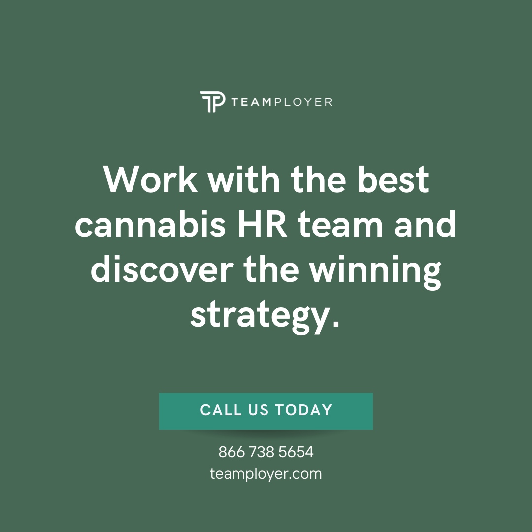 GoTeamployer's tweet photo. Choosing the best cannabis human resources (HR) team is essential to your success! 💯

That's why we're here for you! As a leading HR consultancy and training firm, we've helped countless businesses in the cannabis industry find their winning strategy.

📞Get in touch with us... https://t.co/nfbAvMJFDO