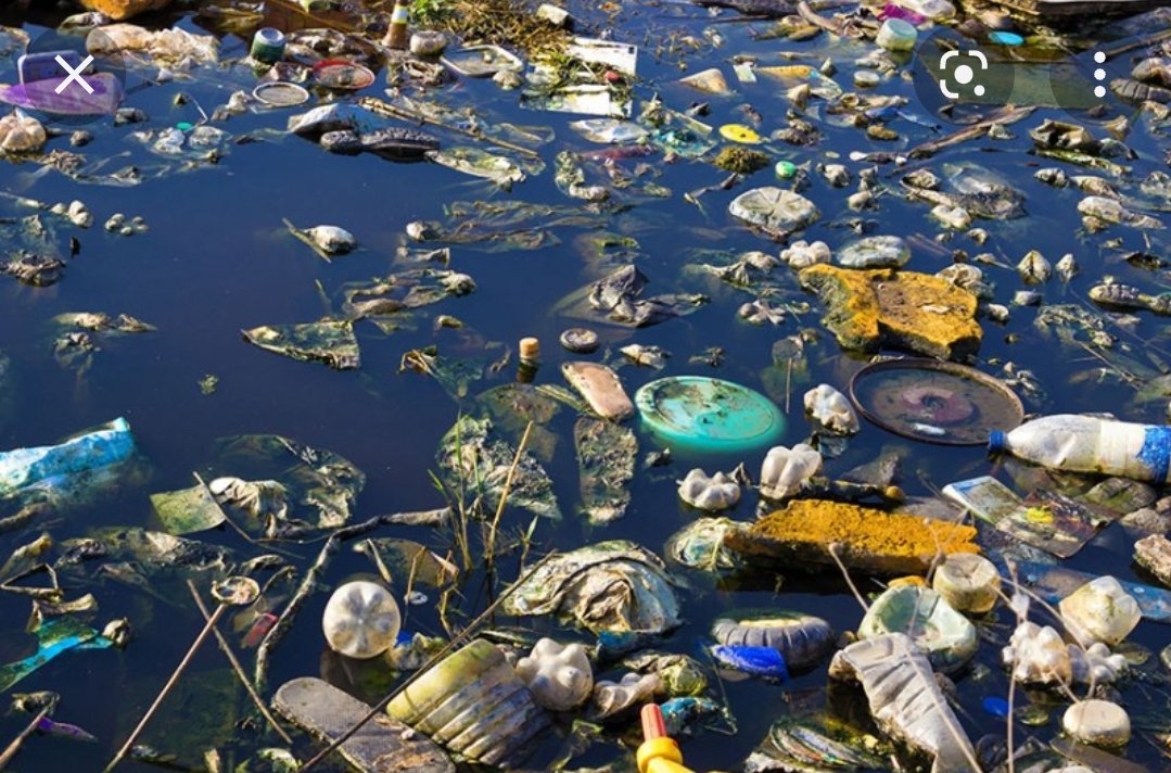 TosaBookNerd tweet media