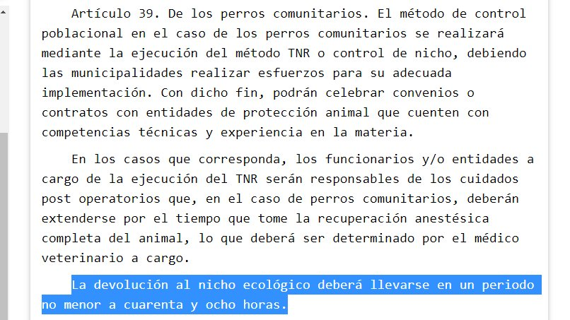 shesholastra's tweet photo. @AdrianaEGomez @Revista_Ya @carolinapinoc Es imposible controlar la plaga de perros y gatos sueltos sin recurrir al sacrificio de lo que no son adoptados. Sin embargo, se rechazó la evidencia y se impuso el dogma mascotista, que obliga a devolver a esos animales al espacio público. Aunque maten gente y fauna nativa. https://t.co/r1IOgo9oiu